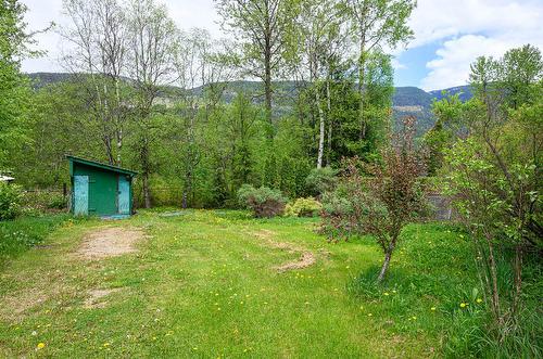 3782 River Drive, Blue River, BC - Outdoor