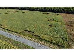 0 Bedell Settlement RD  Bedell, NB E7M 4S2