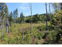 86-81 Owen CRT  Campobello Island, NB E5E 1Z6