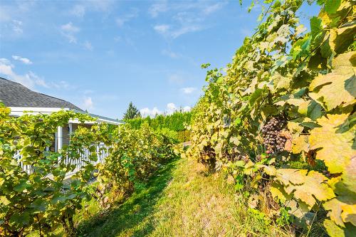 3900 Haskins Road, Creston, BC - Outdoor With View