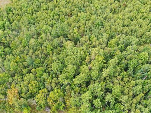 Lot 19 Acres Wallace Road, Hazel Glen, NS 