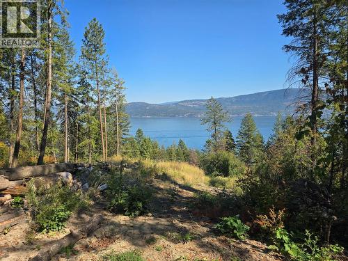 9444 Hodges Road, Vernon, BC 