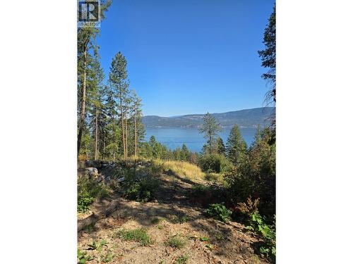 9444 Hodges Road, Vernon, BC 