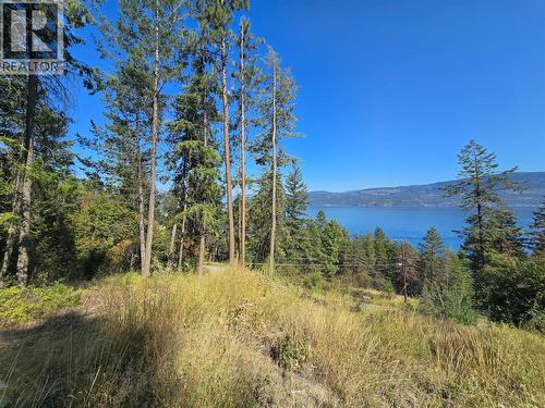 9444 Hodges Road, Vernon, BC 