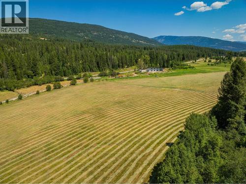 2335 Pass Creek Road, Castlegar, BC - Outdoor With View