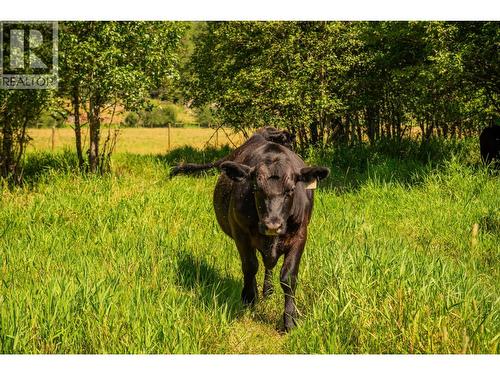 2335 Pass Creek Road, Castlegar, BC - Outdoor