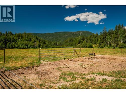 2335 Pass Creek Road, Castlegar, BC - Outdoor With View