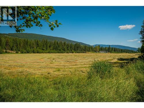 2335 Pass Creek Road, Castlegar, BC - Outdoor With View