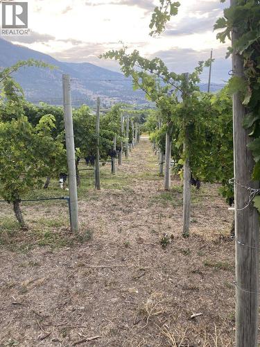 5403 Snowbrush Street, Oliver, BC 