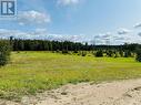 Lot 25 Upper Tranquil Waters Road, Reidville, NL 