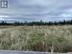 Lot 1 McIsaac's Lane  Port Au Port East, NL A0N 1T0