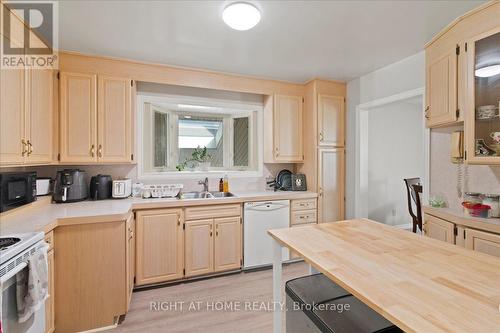 136 Langton Street, Peterborough (Northcrest Ward 5), ON - Indoor Photo Showing Kitchen With Double Sink