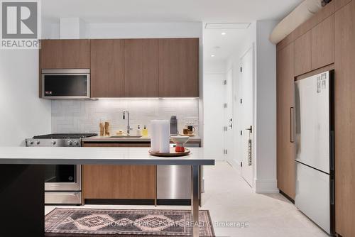 Lower Unit - 51 Maclean Avenue, Toronto, ON 