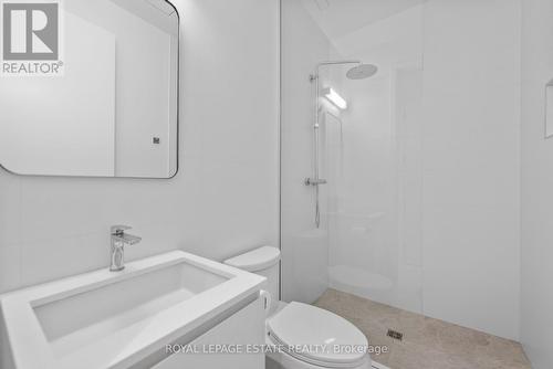 Lower Unit - 51 Maclean Avenue, Toronto, ON 