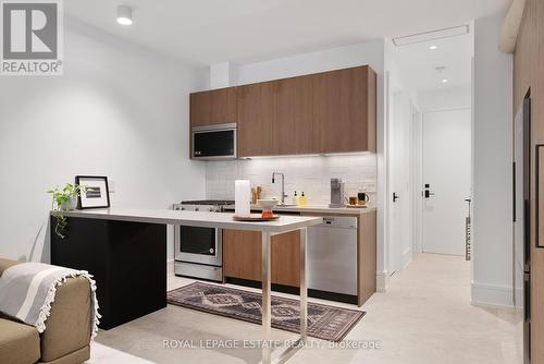 Lower Unit - 51 Maclean Avenue, Toronto, ON 