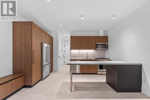 Lower Unit - 51 Maclean Avenue, Toronto, ON 