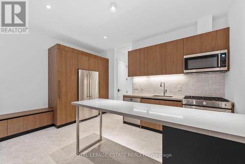 Lower Unit - 51 Maclean Avenue, Toronto, ON 