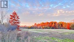 12880 ORT ROAD Niagara Falls, ON L0S 1K0