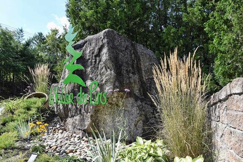 Exterior - 270 Ch. De La Pinède, Piedmont, QC - Outdoor