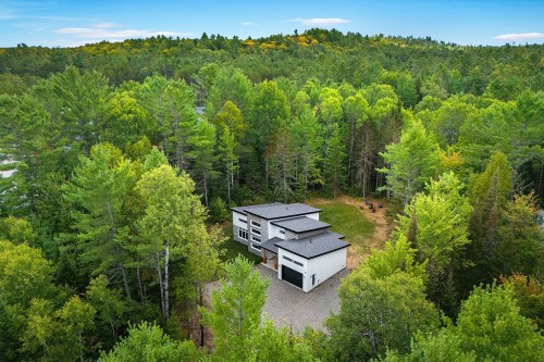 Photo aérienne - 132 Route 303, Otter Lake, QC - Outdoor With View