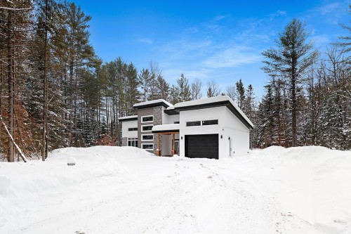 Façade - 132 Route 303, Otter Lake, QC - Outdoor
