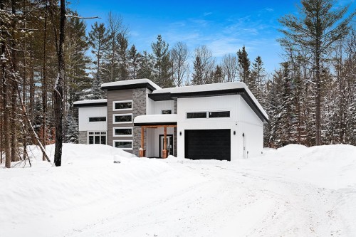 Façade - 132 Route 303, Otter Lake, QC - Outdoor