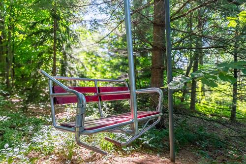 Backyard - 285 Ch. Harvey, Sutton, QC - Outdoor