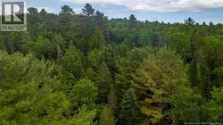 172 Lily Hill Road  Oak Bay, NB E3L 4E6