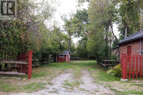 414 Osborne Street, Brock (Beaverton), ON - Outdoor