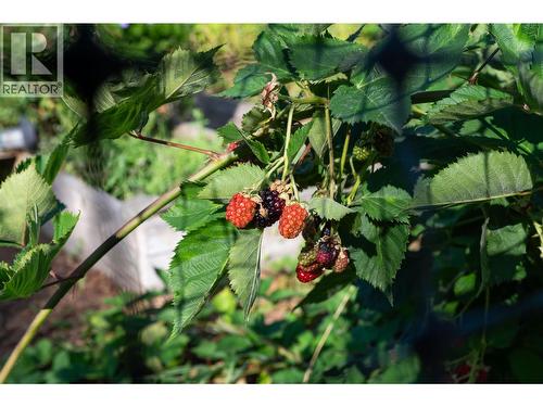 2506 Shuswap Avenue, Lumby, BC - Outdoor