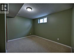 3rd bedroom - basement level - 