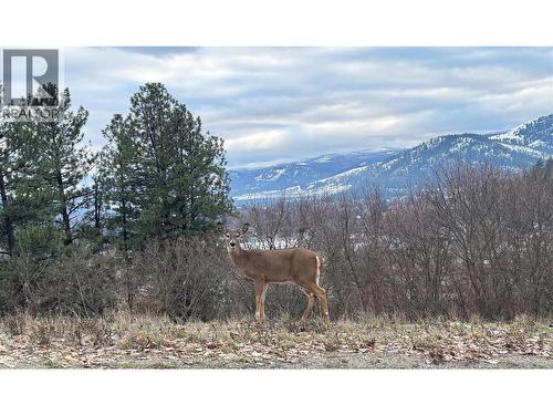 7460 Valley Heights Drive, Grand Forks, BC - Outdoor With View