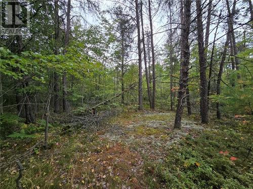 Pcl 18047A Hwy 607, Alban, ON - Outdoor With View