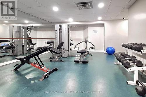 205 - 309 Major Mackenzie Drive, Richmond Hill, ON - Indoor Photo Showing Gym Room