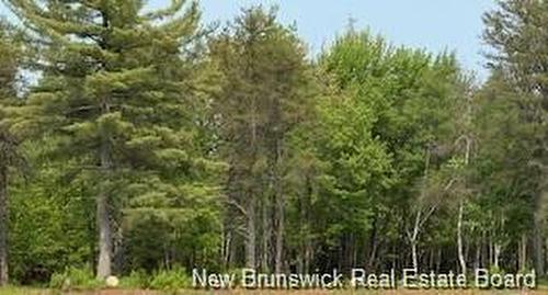 Lot Wegesegum Road, Chipman, NB 