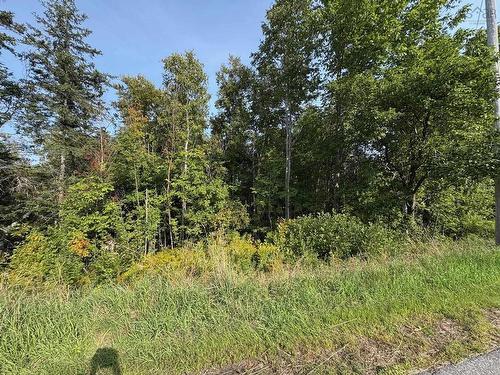 Thorburn Road, Thorburn, NS 