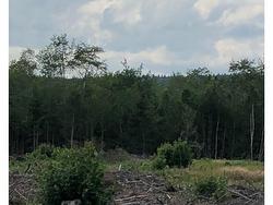 Belmont  Belmont, NS B0M 1C0