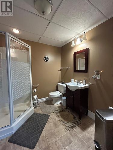 46 B Marshalls Drive, Bishop'S Falls, NL - Indoor Photo Showing Bathroom