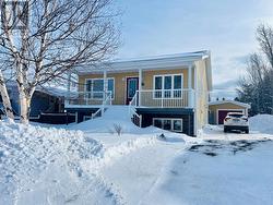 46 B Marshalls Drive  Bishop's Falls, NL A0H 1C0