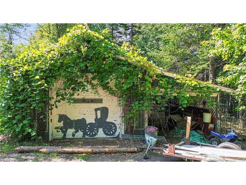 255 Niagara Rd, Pine Glen, NB 