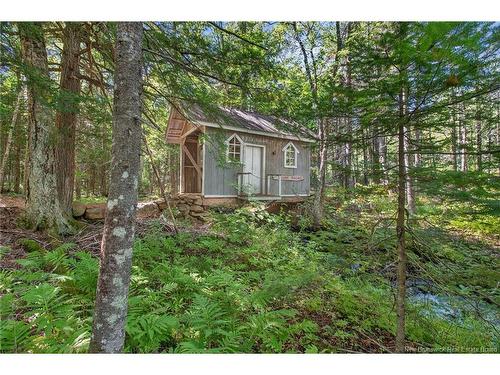 255 Niagara Rd, Pine Glen, NB 