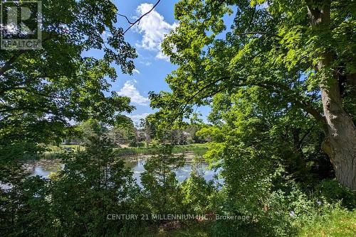 1380 Queen Street W, Caledon, ON - Outdoor