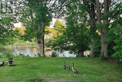 1380 Queen Street W, Caledon, ON - Outdoor With Body Of Water