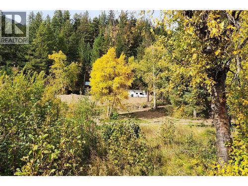 7326 Tyaughton Lake Road, Gold Bridge, BC 