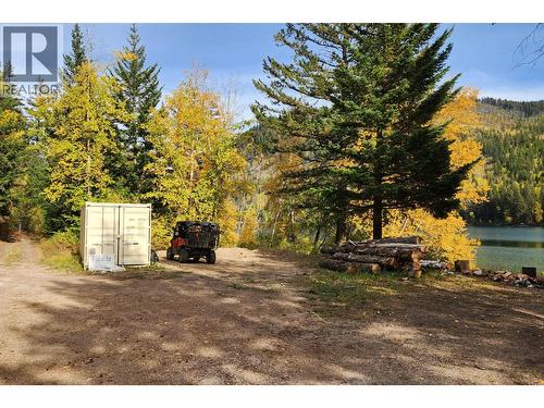 7326 Tyaughton Lake Road, Gold Bridge, BC 