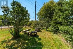 Fire Pit in Backyard - 