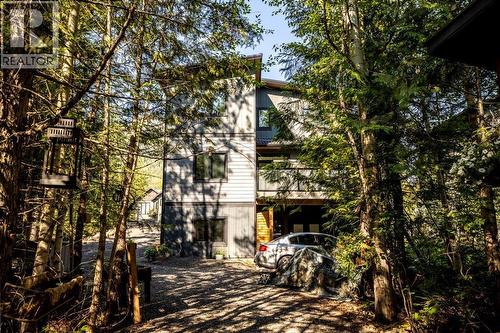 4600 Alpine Way, Fernie, BC - Outdoor