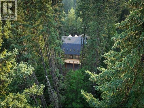 4416 Timberline Crescent, Fernie, BC - Outdoor
