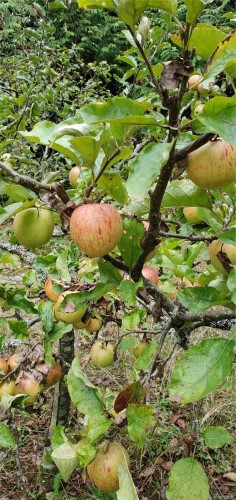 37168 Schooner Way, Pender Island, BC 