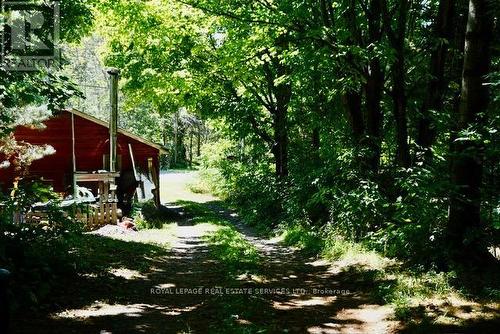 1116 Moon River Road, Muskoka Lakes, ON - Outdoor